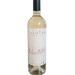 Caloian sauvignon blanc