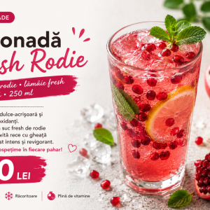 Limonadă Fresh Rodie 250ml